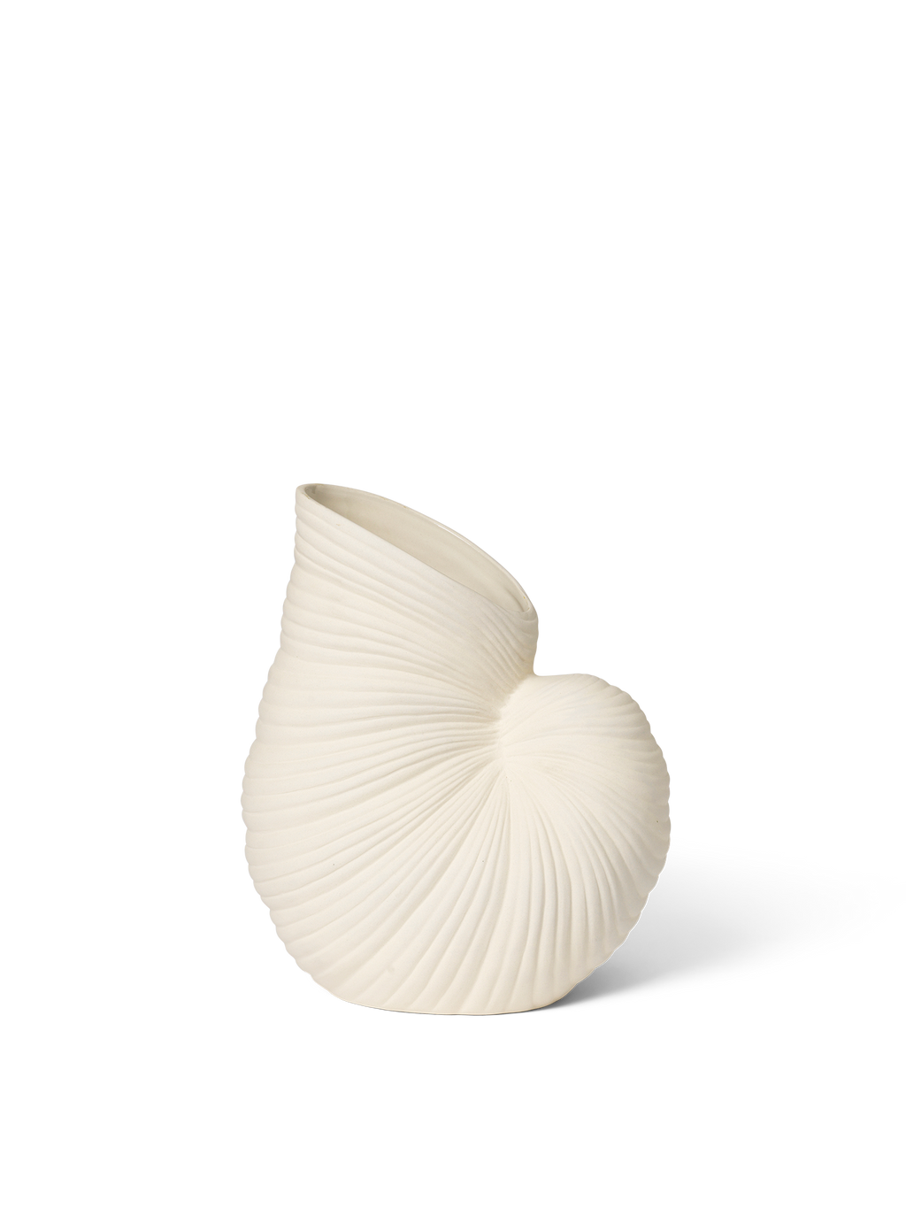 Vase Shell en forme de coquillage blanc cassé sur fond blanc.
