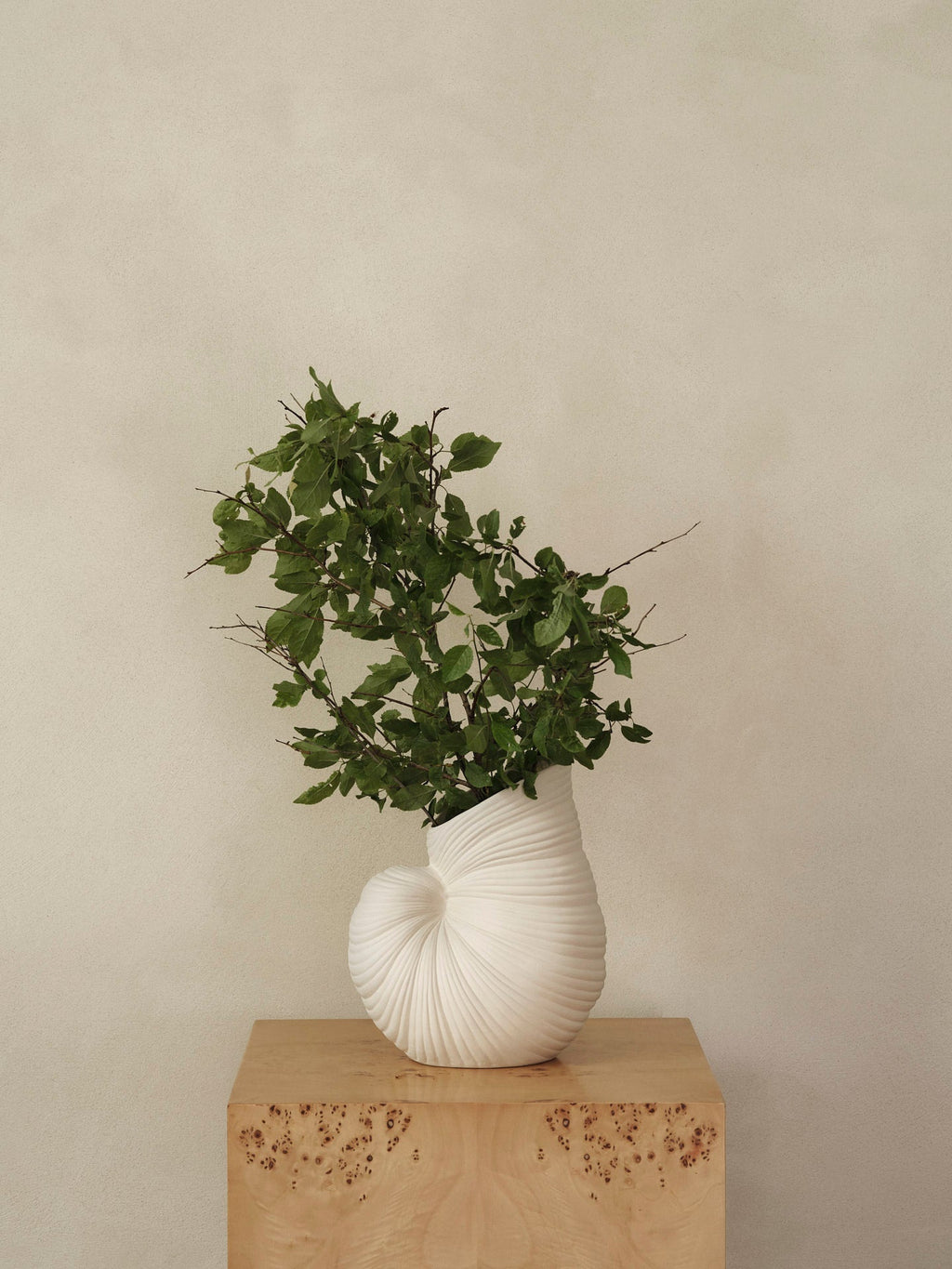Vase Shell blanc cassé avec des branches feuillues sur un socle.